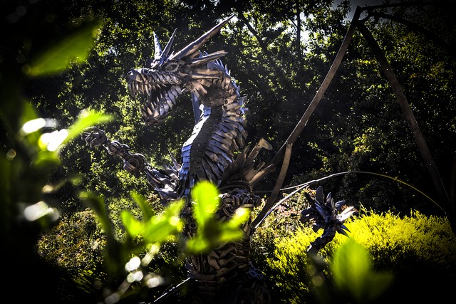 The Dragon’s Lair - Photography by David Willis